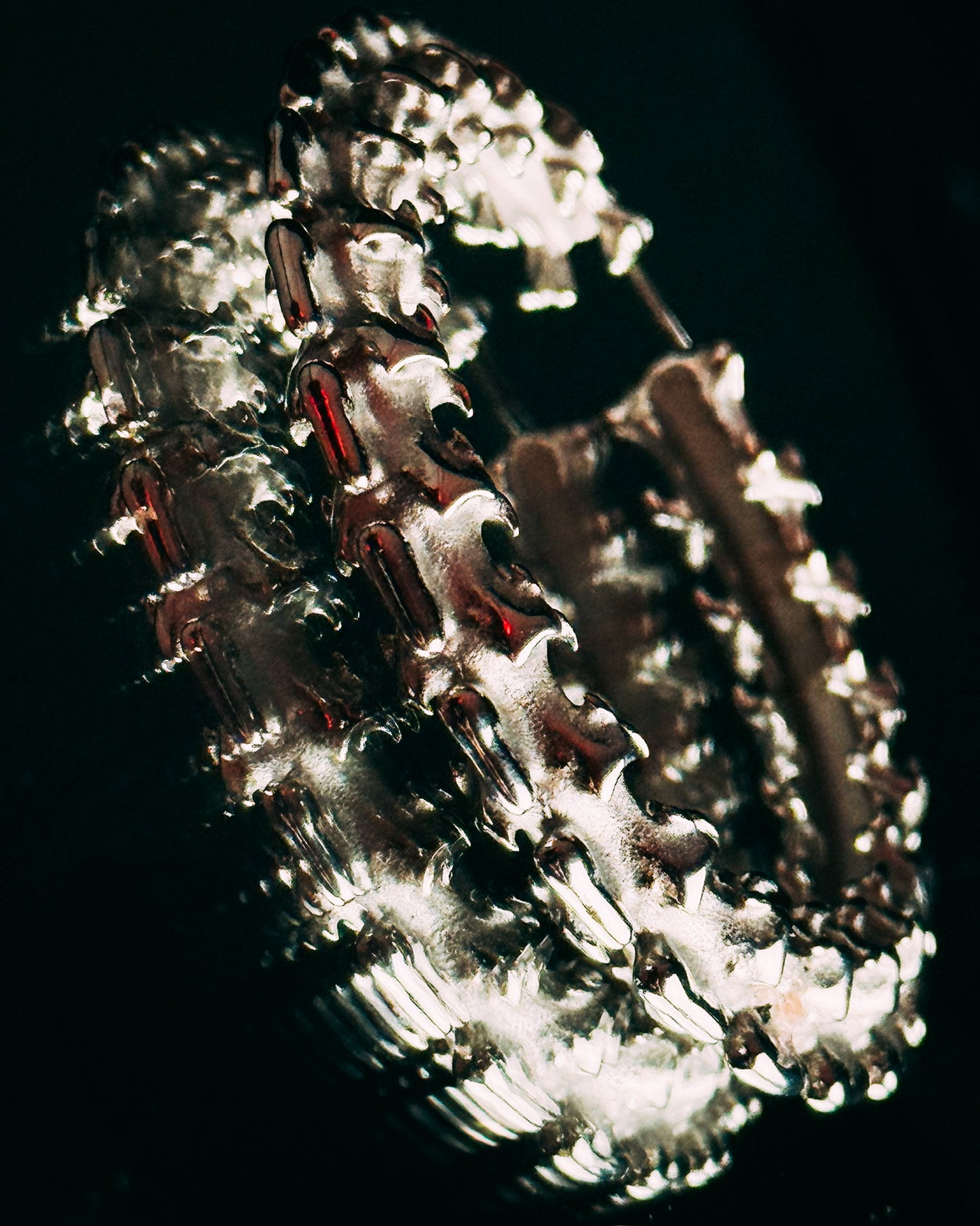 Vertebrae hoops