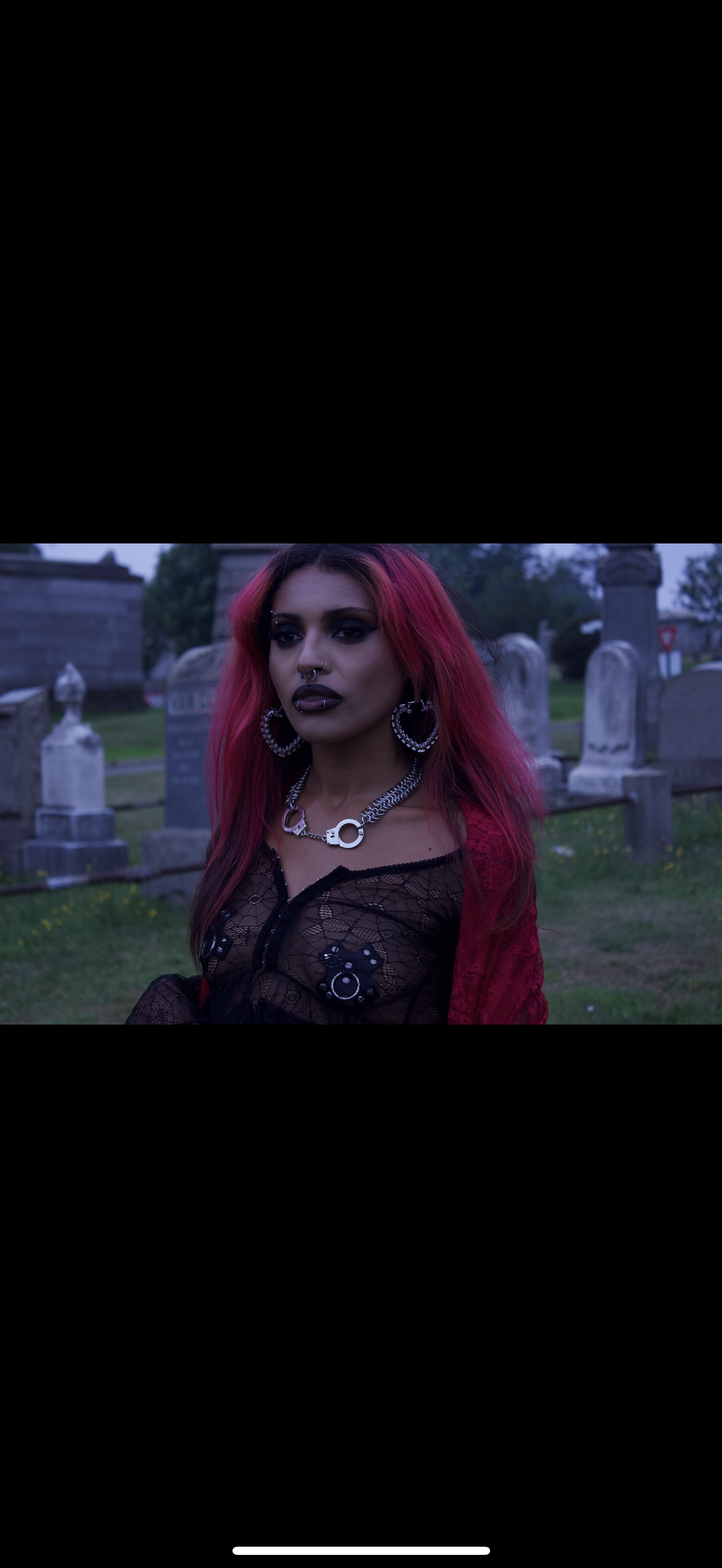 Vertebrae heart hoops