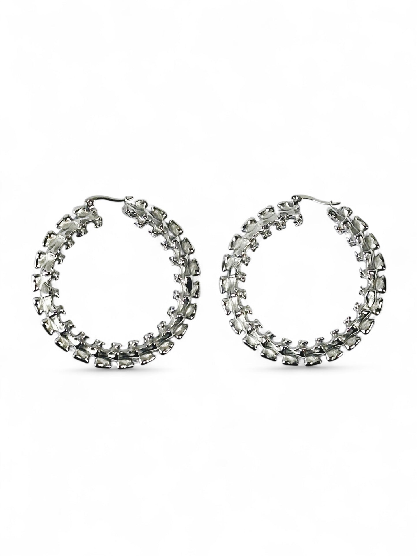 Vertebrae hoops
